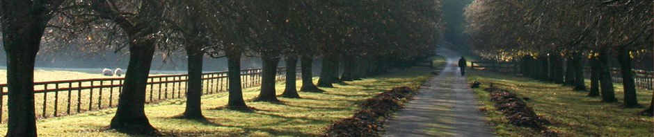 the-beaten-path